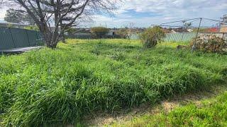 Viewer Sends S.O.S for this WILD yard!