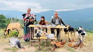 Making Dining Tables and Chairs in Nomadic Life and Cooking Carrots and Pilaf