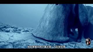 新视野号探测器曾在冥王星，发现巨型蜗牛，是真的吗？