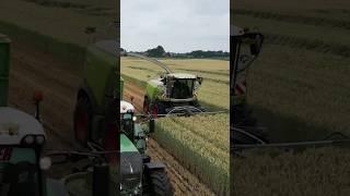 Claas Jaguar 980  #harvest #fendt #tractor #farming #landwirtschaft #agro @JasperAgriFotografie