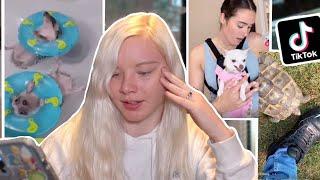 Watching INSANE viral Pet TikToks