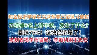 突发：知名经济学家以汉武帝罪己诏讽习被封！习抓捕6名上将中将，发生了什么？暴跌75%，这块经济彻底坍塌！被割者揭李币骗局被踢，李颖方脸利用王志安诈骗！(20241225第1331期)