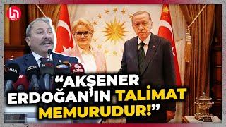 Tolga Akalın'dan Meral Akşener'e zehir zemberek sözler! "Akşener, Erdoğan'ın talimat memurudur!"