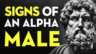 10 Signs You're An Alpha Male | Stoicism