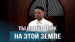 Ты наместник на этой земле