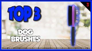 Best Dog Brushes In 2023