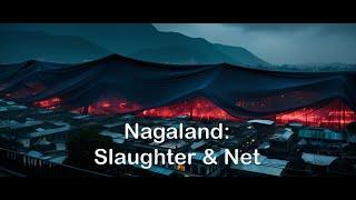 Nagaland's Appointed Time A Prophetic Call to Prayer and Action