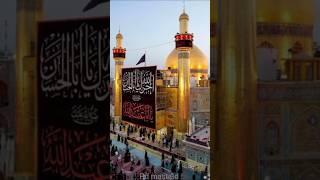 janum ya Hussain status mohharam #shorts #islam #viral