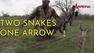 2 RATTLESNAKES, 1 SHOT!! I Red Arrow