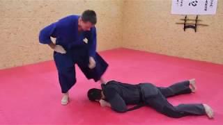 [Kukishin Ryu, taijutsu techniques]