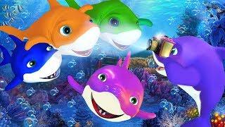 Five Little Sharks |  5 Little sharks | Nursery Rhymes | Kids Songs | Baby Rhymes | Shark Song [HD]
