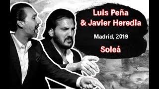 Luis Peña & Javier Heredia por Soleá, Madrid 2019