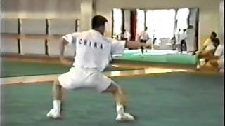 Тренировка сборной Пекина по УШУ 1997 / 1997 Beijing Wushu training