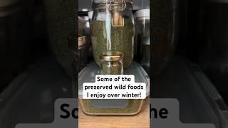 Here I talk about various preserved wild foods/drinks that I’ll be consuming over winter! #foraging