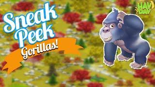 Hay Day Sneak Peek-GORILLAS!! New Sanctuary Animal! Day at the Zoo!!