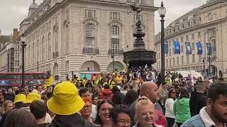 Picadilly on a Blackmagic