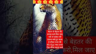 kya #Umar thi kya shama tha##