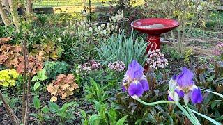 Silent Garden Tour  Cottage Garden Tour  Birds Singing  