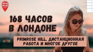 ВЛОГ: 168 ЧАСОВ В ЛОНДОНЕ. ГОСТИ, PRIMROSE HILL и РАЗМЫШЛЕНИЯ О РАБОТЕ ИЗ ДОМА