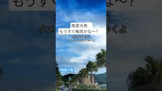 奄美大島　もうすぐ梅雨流れる季節️　2025年5月17日#ごまぷる