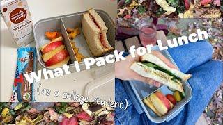 Packed Lunches I Eat (as a college student) Easy & Quick Meals/Inspo