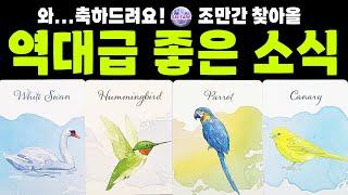 [타로] ‼와.. 축하드려요조만간 찾아올 역대급 좋은 소식🫢