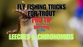 FLY FISHING TRICKS FOR TROUT: PRO TIP - LEECHES & CHIRONOMIDS