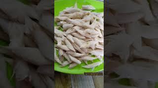 popia coklat #viral #resep #foodvideos #food #viralshort #popiacoklat #viralshort