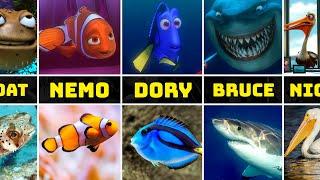 Nemo Characters in Real Life