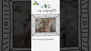 나는 누구일까요??