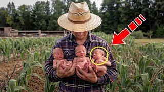 A farmer finds three babies in a field. But as he gets closer, he notices a shocking detail!