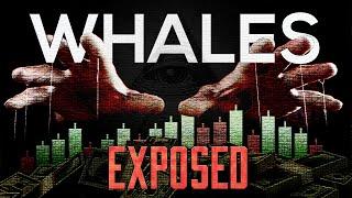 Exposing how crypto whales are TRULY making their money...