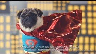 Halifax - Comercial de TV - Propaganda com Pug