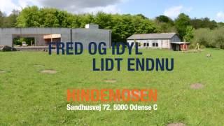 Gårdsalg® & Teltudstilling 2012 - Stilhed før stormen