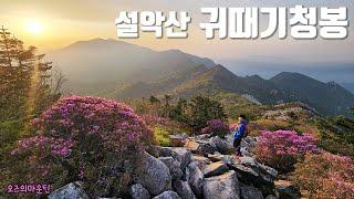 [설악산] 오픈런!! 귀때기청봉 털진달래 한계령~장수대 서북능선 등산코스 Seoraksan