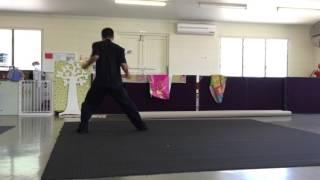 Tai Chi Demo - "Hard" Version