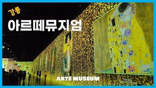 [강릉] 아르떼뮤지엄  ARTE Museum Gangneung ㅣ 미술관이 들려주는 이야기