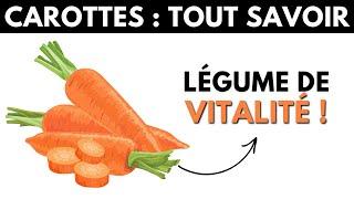 Carottes : ses dangers et bienfaits pour la santé - Dr Santé