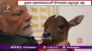 PM Modi Welcomes Deepjyoti | Calf Born at His Residence | లేగదూడకు దీప్‌జ్యోతిగా నామకరణం చేసిన మోదీ