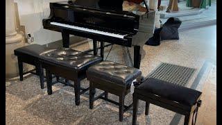 Which is the most suitable piano stool for a concert venue? + screw-on vs. fixed leg