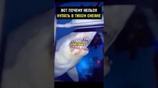 Вот почему нельзя купаться в Тихом океане! #мистика #факты #история