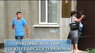 Петров, Безнос и их грязные методы! Желябовка под угрозой! Нижнегорский Крым.