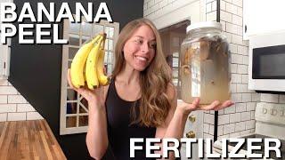 How To Make Banana Peel Fertilizer For Peppers & Tomatoes  (ZERO WASTE)