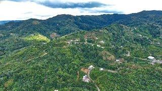 Deep in The Mountains of Las Marias, Puerto Rico