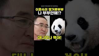 이혼숙려 캥거루부부 나 부부안해