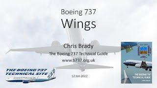 737 Wings