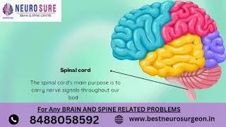 Best Neurosurgeon and Best spine surgeon of Ahmedabad, with best brain and spine treatment.