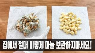 잘 썩는 마늘 이것 위에 올려 두면 2달도 싱싱하다구요? 마트 사장님이 비법을 알려주셔서 감사하네요