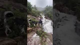 #hiking #nature at Pokfulam Hongkong ️