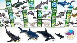 20 NEW AWESOME SEA ANIMALS  - Shark, Dolphin, Penguin, Turtle, Orca, Whale